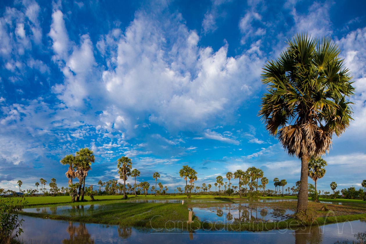 Landscape Photography | Cambodia Images